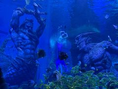 -哈尔滨波塞冬海底世界