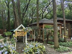 -同里国家湿地公园