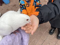 -王府井奥莱临潼小镇(临潼店)