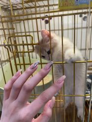 -隅日式美甲美睫專門店