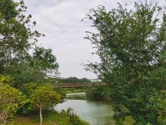 -宜兴龙背山森林公园
