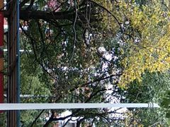 -交通大学（闵行校区）-第二餐饮大楼