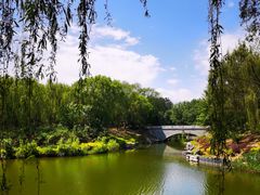 -大兴滨河森林公园