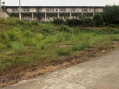 -庐山艺术特训营