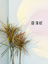 -禾曼造型