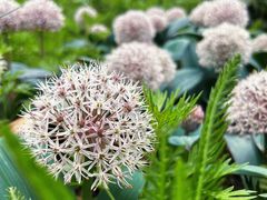 -国家植物园南园