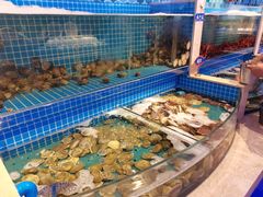 -乔哥铭洋海鲜自助(皇城恒隆广场店)