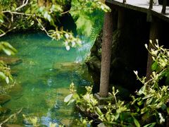 -石台牯牛降景区