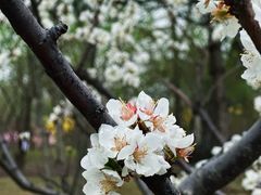 -迎泽公园