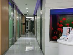 -雅悦齿科(顾村公园店)