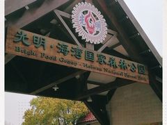 -上海海湾国家森林公园