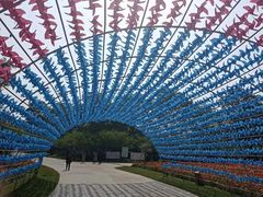 -秀丽东方