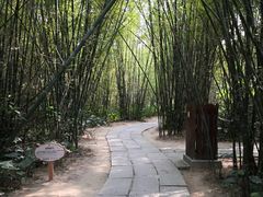-开平碉楼文化旅游区马降龙景区