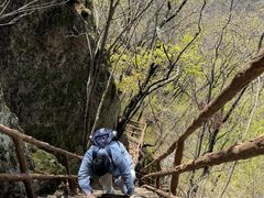 -天女山森林公园