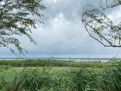 -七的湖·晚芳亭·阳澄湖农家菜·大闸蟹(莲花岛店)