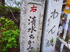 -有栖山 清光院 清水寺