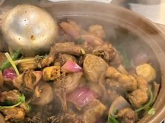 -胡须佬鸡煲四季火锅店(石厦西村直营店)