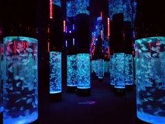 -成都浩海立方海洋公园