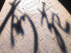 -Catail前苑(前门大街店)