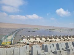 -南汇嘴观海公园