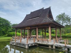 -中国科学院西双版纳热带植物园