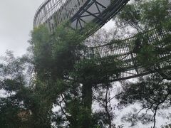 -福道