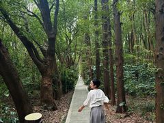 -同里国家湿地公园