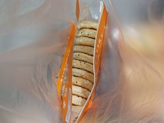 -万达广场(临港店)