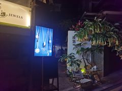 -溪岸路花鸟市场
