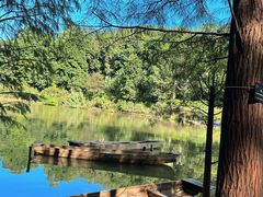 -深圳仙湖植物园