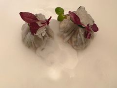 -觀芷隐轩