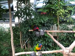 -南宫五洲植物乐园