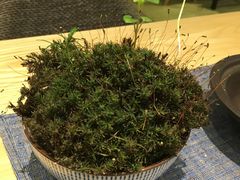 -扫雪煮茶(西村店)