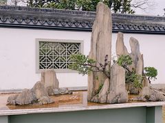 -杭州植物园