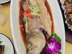 -盛京富丽园老菜馆·东北菜(和平南大街店)