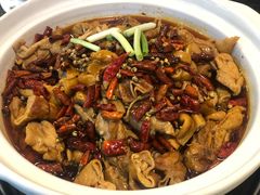 -川大刘肥肠鸡(北国店)