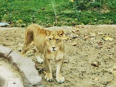 -北京野生动物园