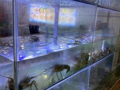 -海之鲜大排档(东山海鲜金銮湾店)