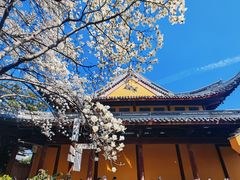-龙华寺