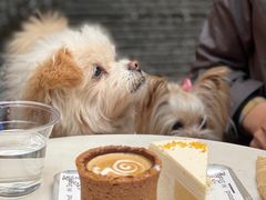 -M Stand(BFC外滩金融中心店)