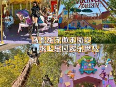 -水上乐园·欢乐世界