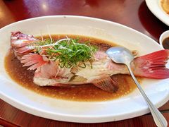 清蒸东星斑-旺富东海大酒楼(海鲜街店)