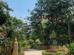 -中国科学院西双版纳热带植物园