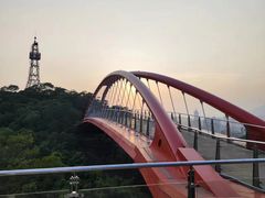 -金鸡山公园