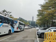 -顺峰山公园