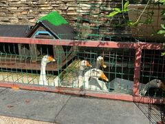 -上海佘山世茂艾美酒店