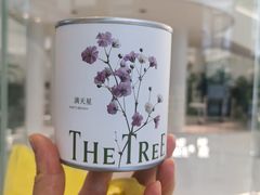 -大树餐厅(环球港店)