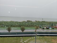 -七的湖·晚芳亭·阳澄湖农家菜·大闸蟹(莲花岛店)