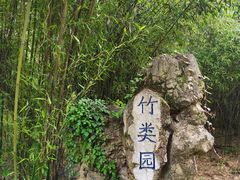 -昆明市金殿名胜区