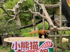 -广州动物园